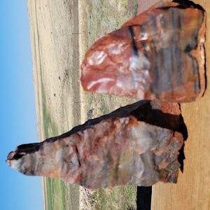 3lbs 11.2oz 2pieces Az rainbow chunk Agatized Colorful petrified wood